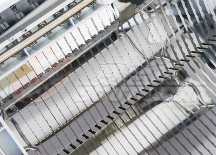 DSC05314.jpg DSC05314.jpg